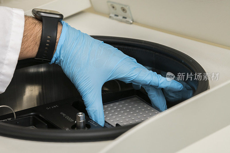 A part of an arm with labcoat and with blue nitril gloves putting a PCR  plate into avcentrifuge. Science laboratory, spinning, research and development, procedure, test, analyse, rotor.